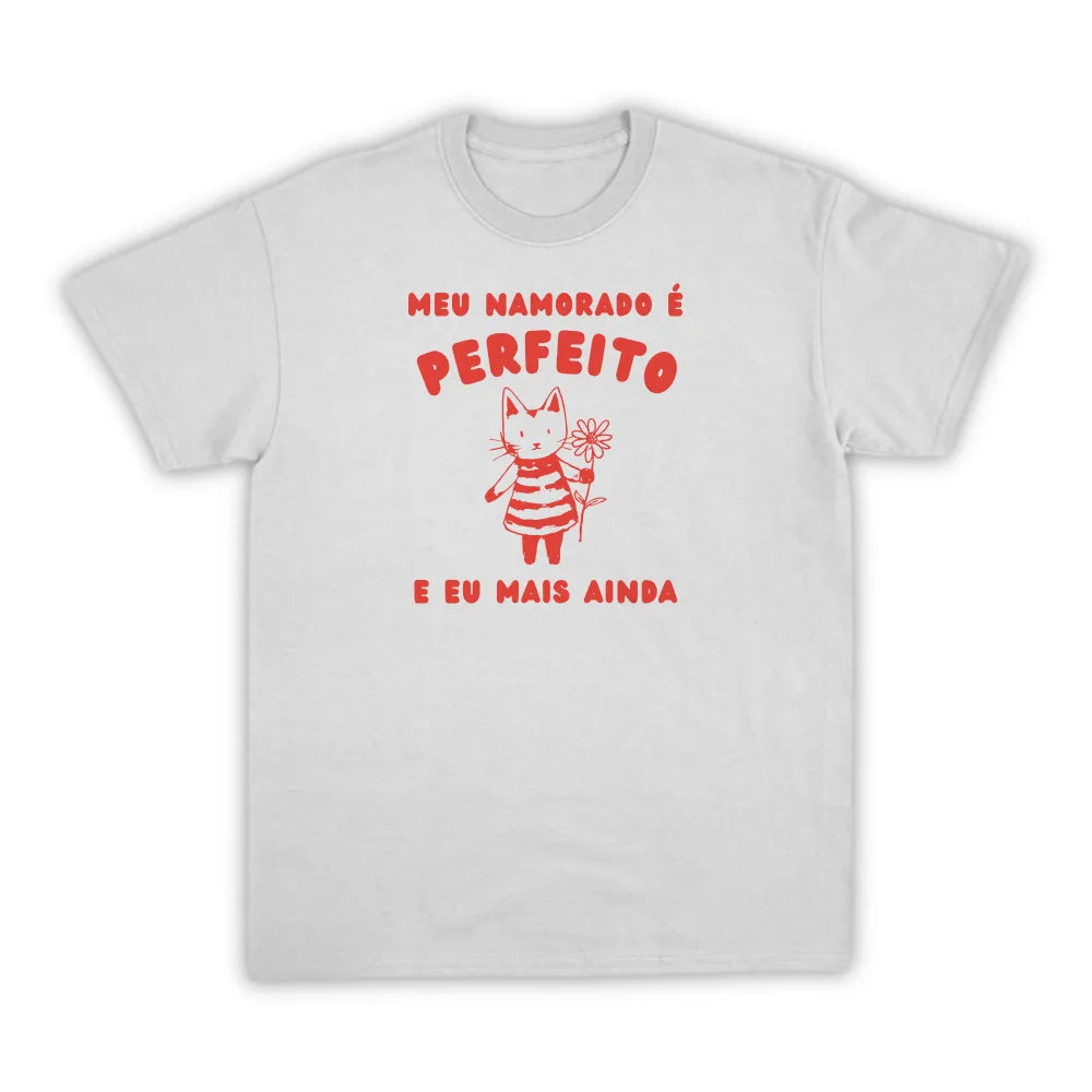 NAMORADO PERFEITO