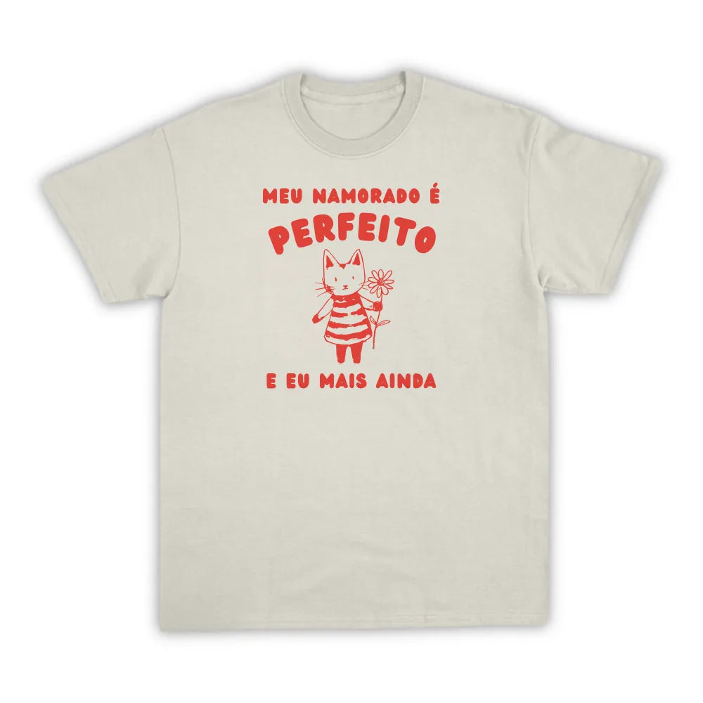 NAMORADO PERFEITO