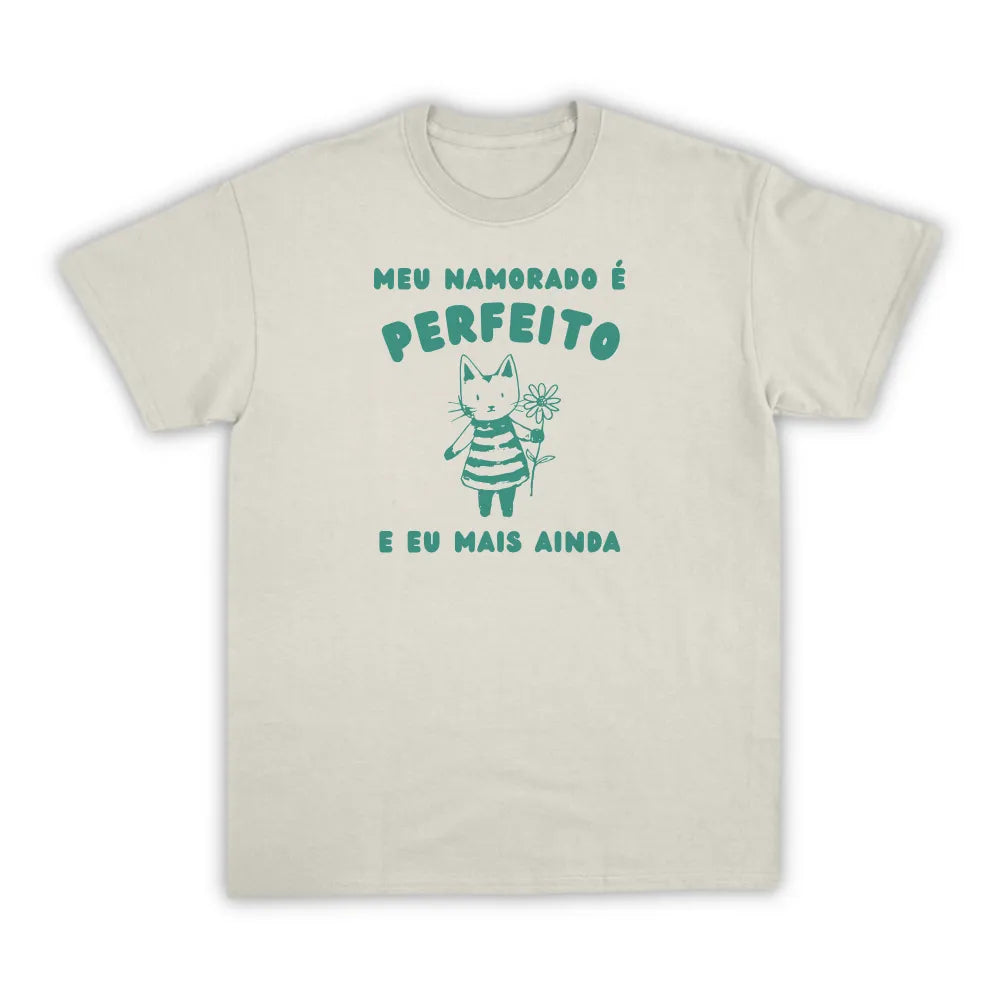 NAMORADO PERFEITO