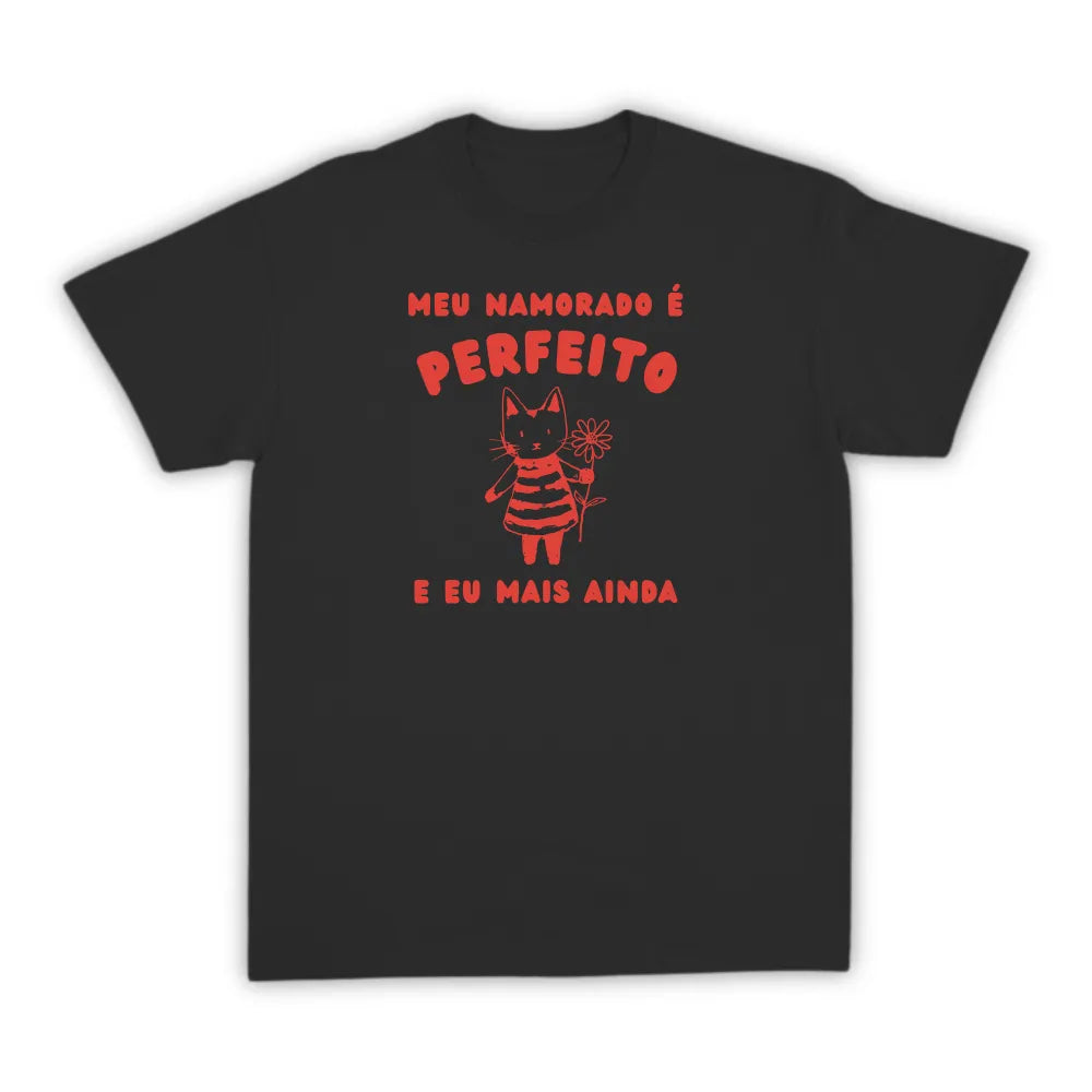 NAMORADO PERFEITO