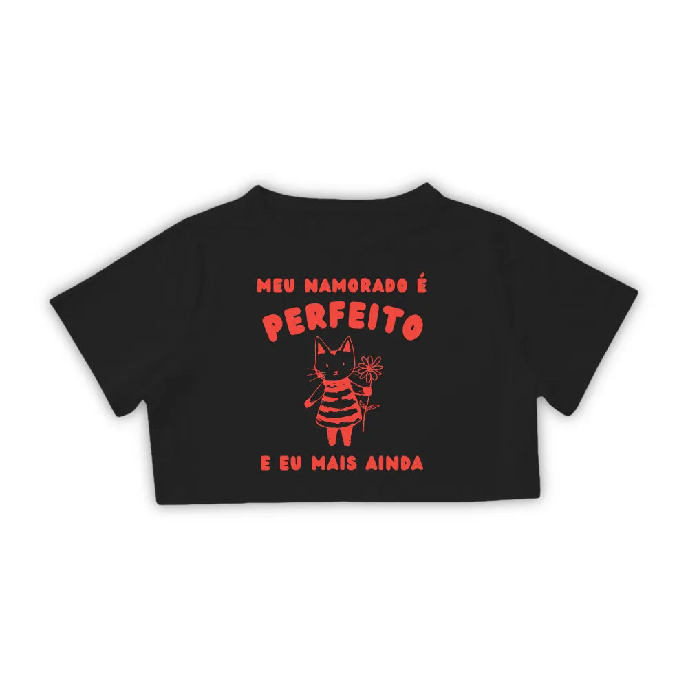 NAMORADO PERFEITO