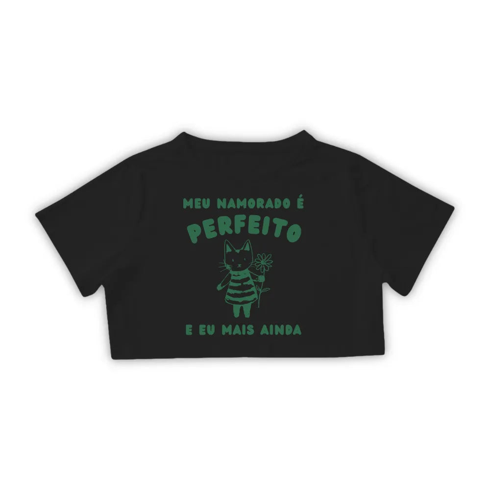 NAMORADO PERFEITO
