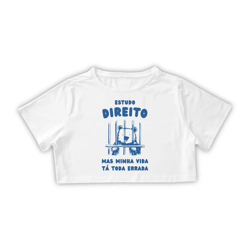 ESTUDO DIREITO