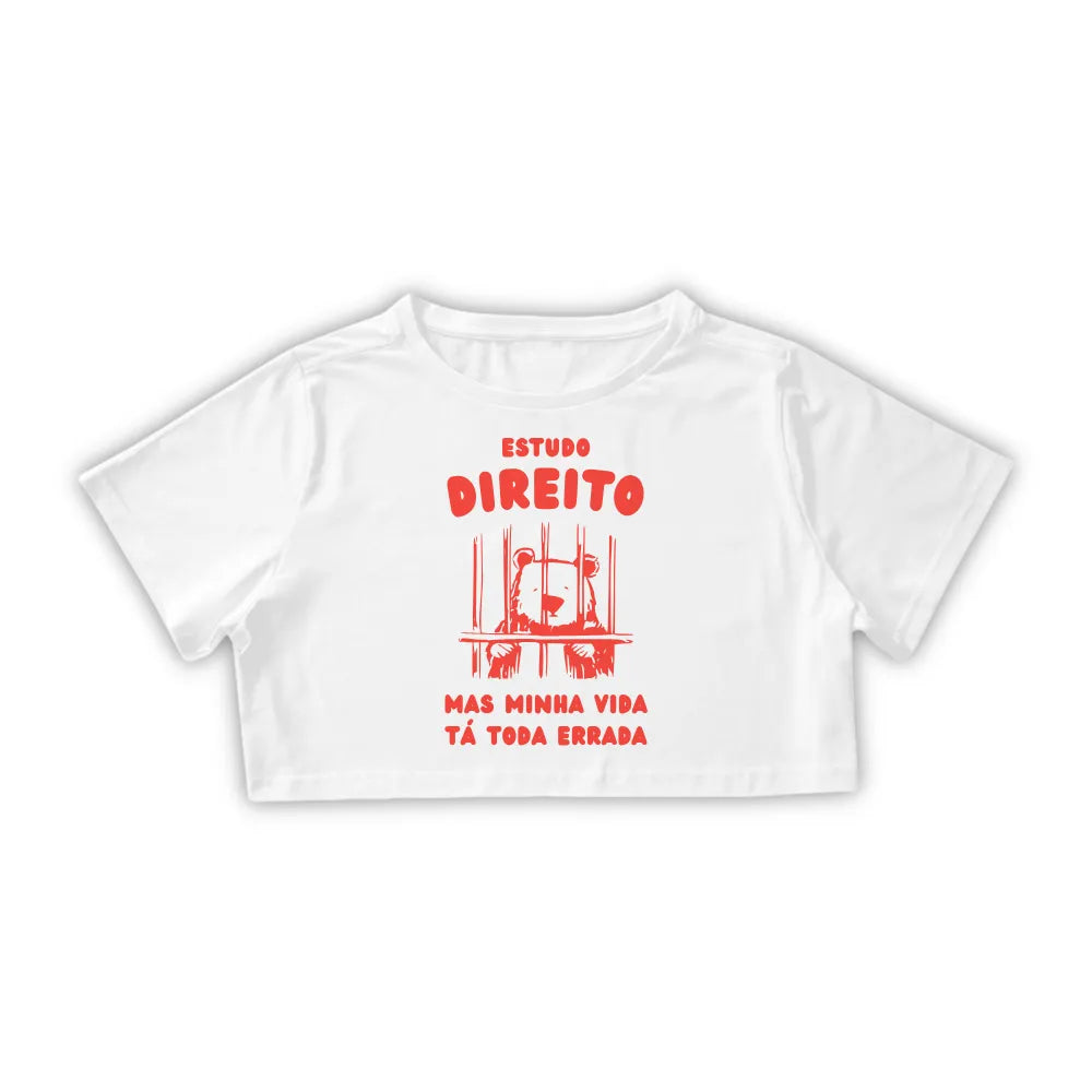 ESTUDO DIREITO