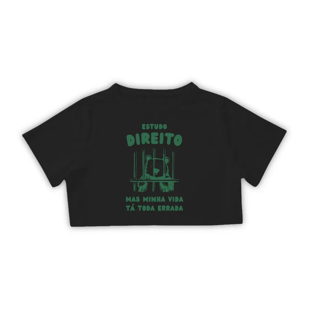 ESTUDO DIREITO