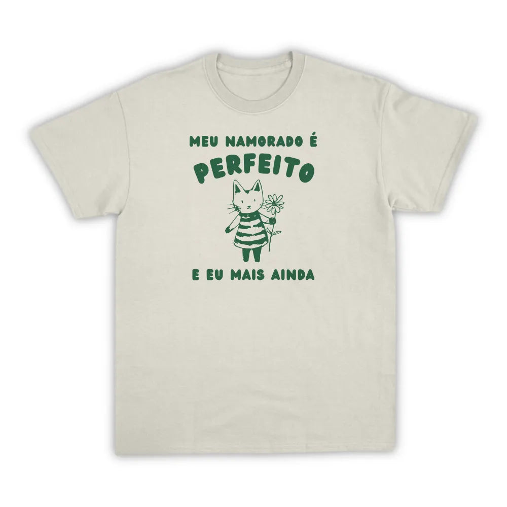 NAMORADO PERFEITO
